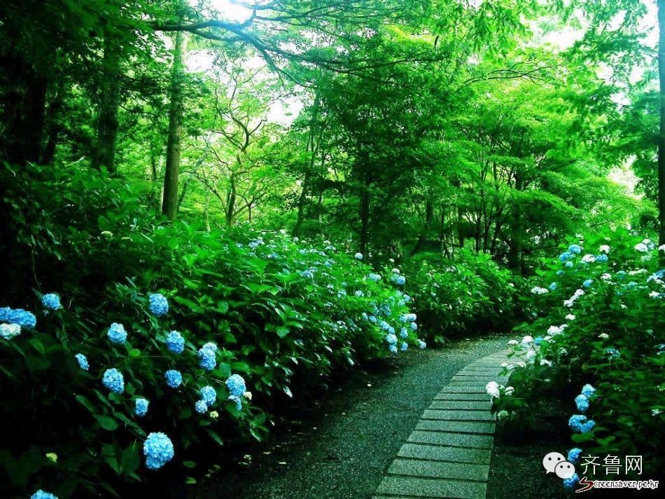 济南十大山体公园,济南最美的五十个山体公园