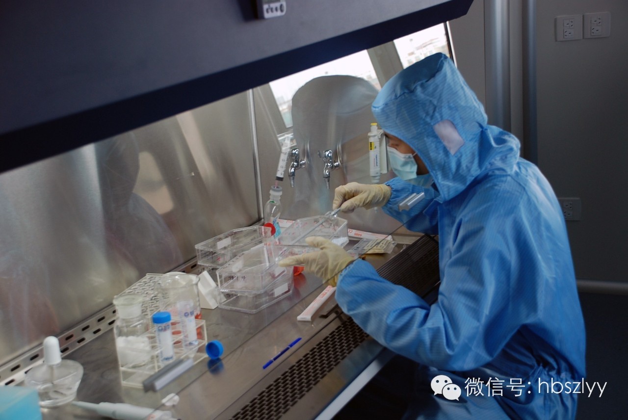 揭秘记者亲感:血液中“星星之火”如何体外培养成抗癌主力