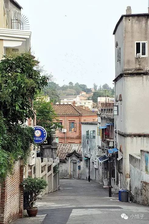 厦门清明两天一夜旅游,清明节厦门六日游旅游攻略