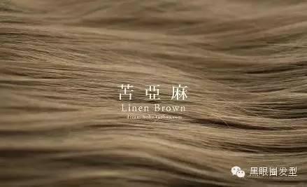 2016流行什么色,2011年流行发色