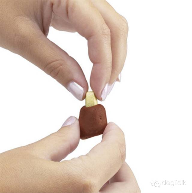 狗狗死活不回家怎么办,狗狗死活喂不进去药怎么办