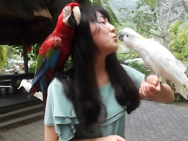 青青淡淡游、SANYA,欢快度过每一天