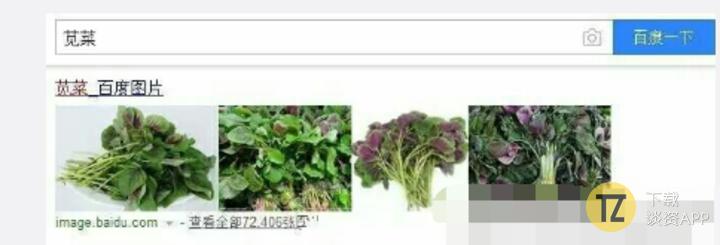 仙剑五为什么做得比仙剑四烂,无胡歌不仙剑什么梗