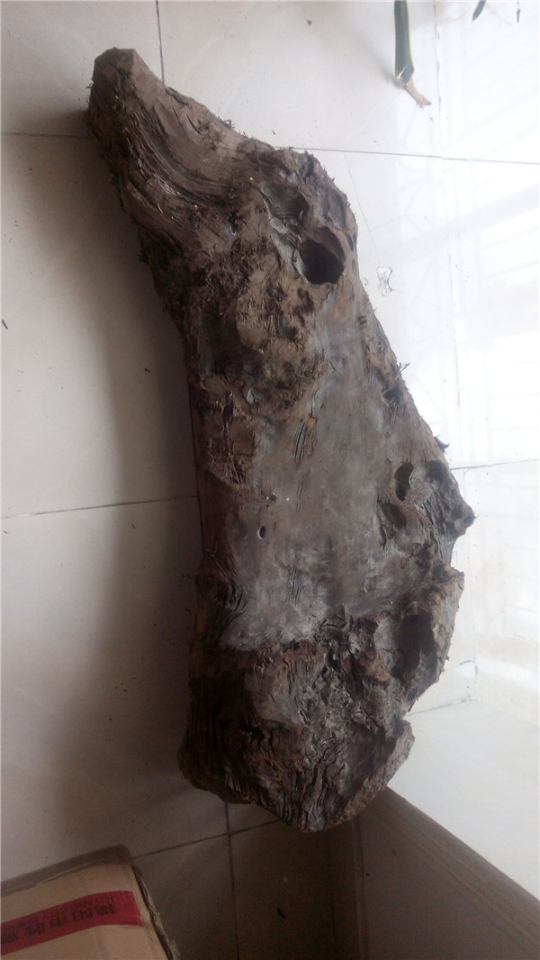 大雨冲来的一块乌黑嘛漆的乌木，原来是茶盘料。