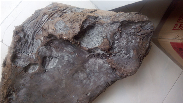 大雨冲来的一块乌黑嘛漆的乌木，原来是茶盘料。