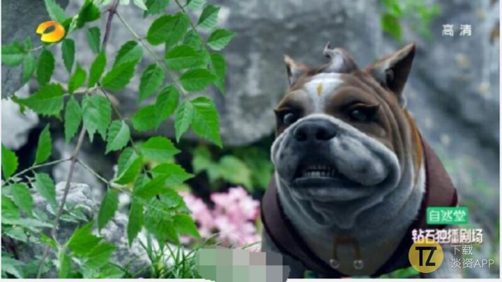 仙剑五为什么做得比仙剑四烂,无胡歌不仙剑什么梗