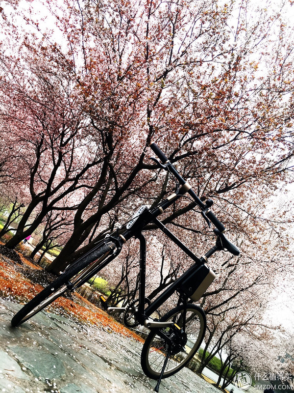 春风十里,不如“云马”载你:云马电单车C1体验