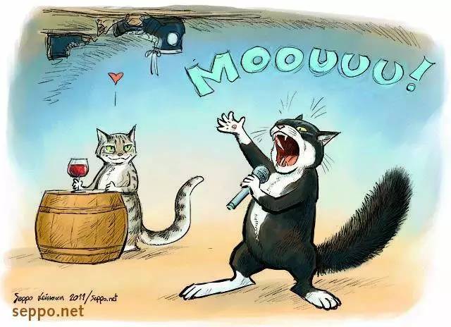 传说中的发情期到了!让猫咪释放欲望还是绝育?