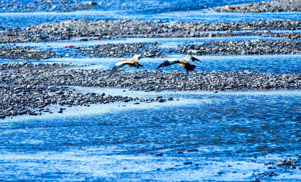 自驾甘孜318最全攻略,甘孜香格里拉自驾游攻略