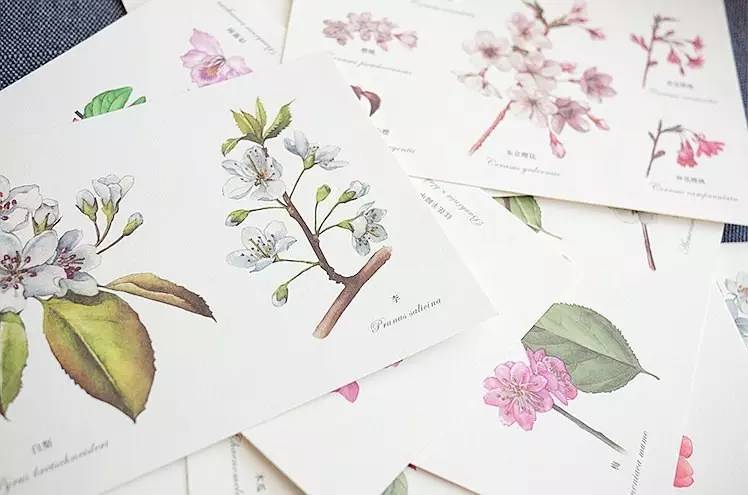 旁友，你可以用文艺的方式做内容，但不能用文艺的态度做生意啊