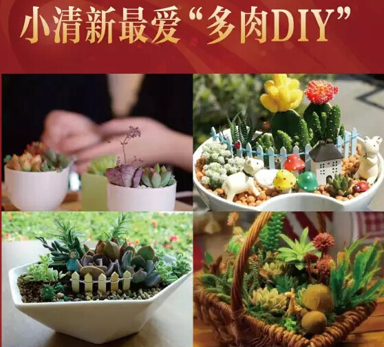 微力榜金榜银榜,房产还得看这榜!