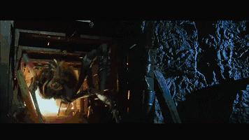 密集恐惧症慎点完整版,密集恐惧症