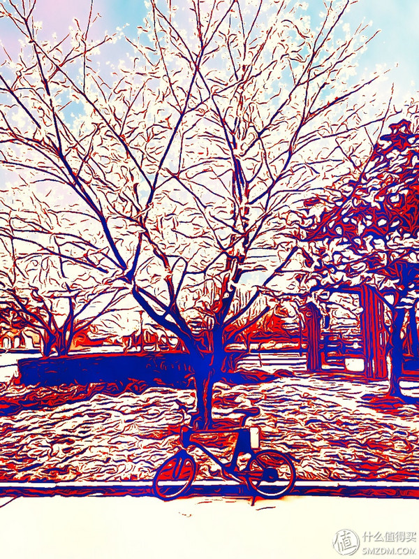 春风十里,不如“云马”载你:云马电单车C1体验