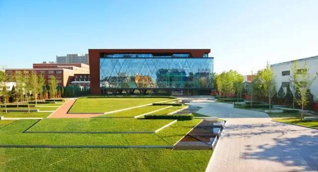 靠谱的景观草坪,露台人工景观草坪