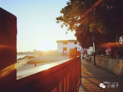 厦门清明两天一夜旅游,清明节厦门六日游旅游攻略