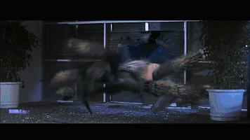 密集恐惧症慎点完整版,密集恐惧症