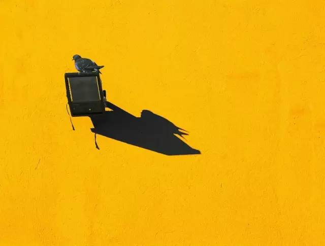 视觉明暗对比,视觉冲击颜色对比图片