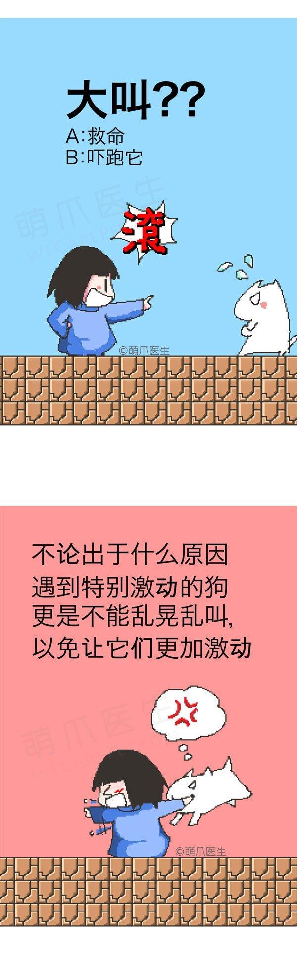 遇到狗狗攻击怎么办,遇到狗攻击人怎么自救卡通