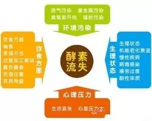 水果酵素真的那么神奇,水果酵素的真实效果