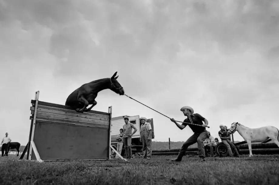 世界本无给你的原始股—驳百度百科的“专业定义”