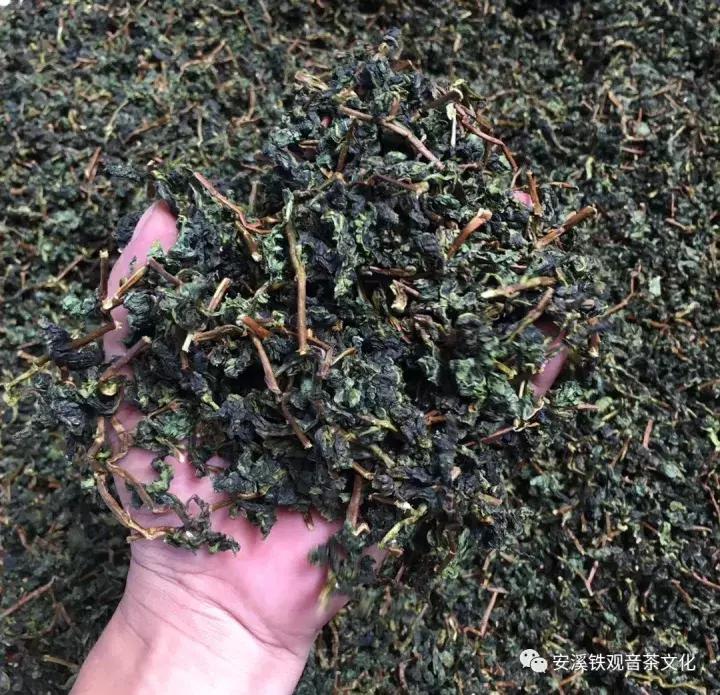 顶级正味铁观音,温性铁观音