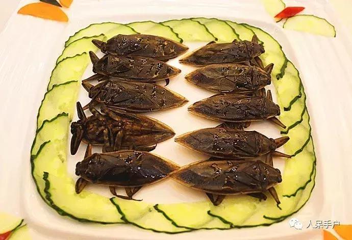 奇特的昆虫美食,史上最恶心的昆虫美食