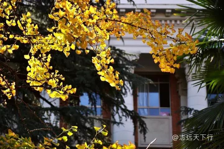 最美高校合集,最美211云大