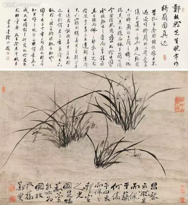 郑板桥画的是兰花还是兰草,郑板桥画不画兰花
