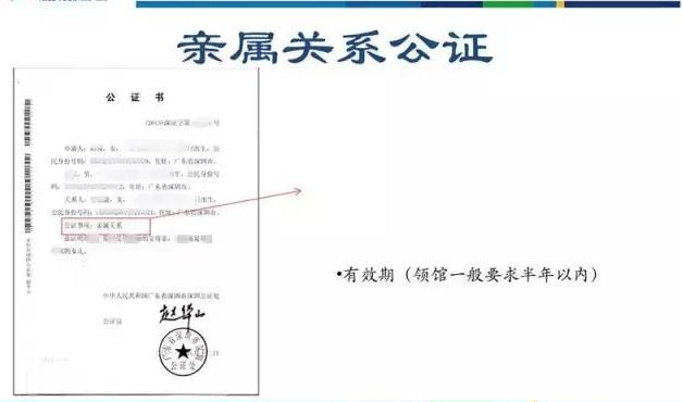 带小孩去欧洲旅游需要什么手续,欧洲带娃旅游签证怎么办