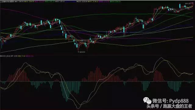 头部响声怎么治疗,头部紧急处理方法