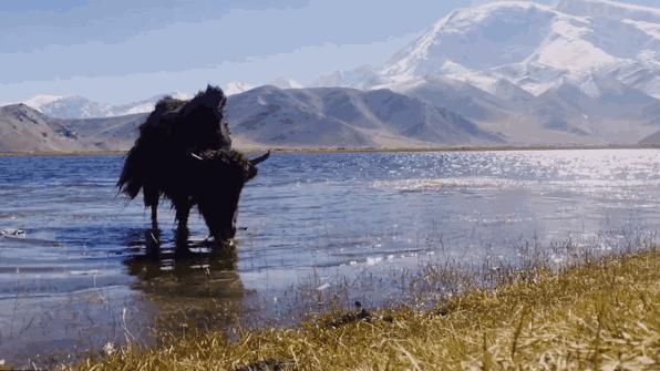 新款东风启辰t90测评,人生第一辆车东风启辰t90