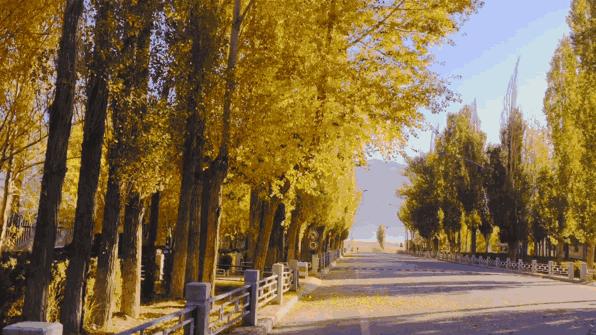 新款东风启辰t90测评,人生第一辆车东风启辰t90