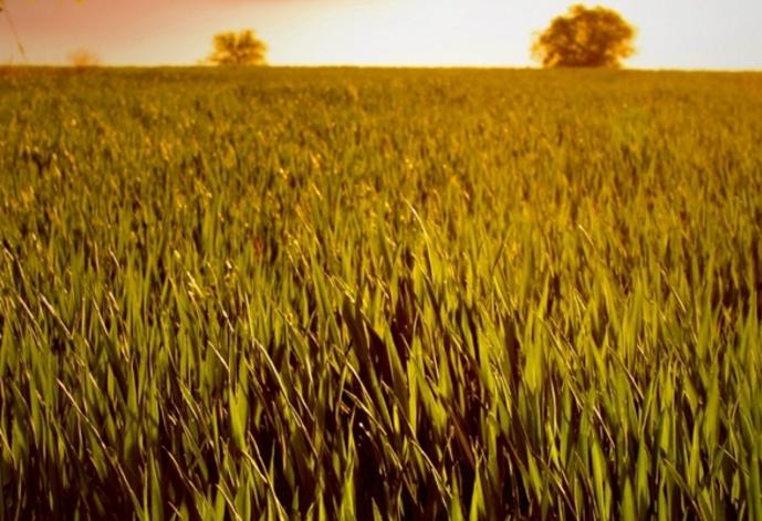 考试前紧张怯场有什么办法,孩子考试怯场的最快治愈的方法