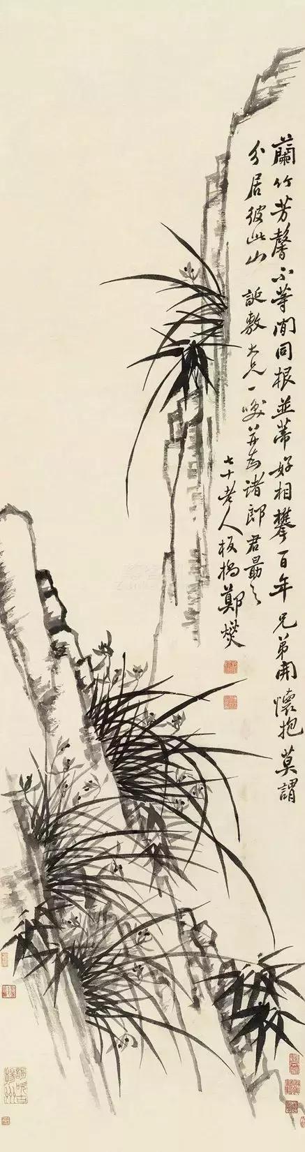 郑板桥画的是兰花还是兰草,郑板桥画不画兰花