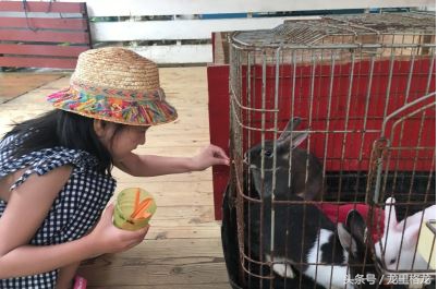 日本冲绳亲子游自由行攻略,冲绳亲子游视频