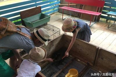 日本冲绳亲子游自由行攻略,冲绳亲子游视频