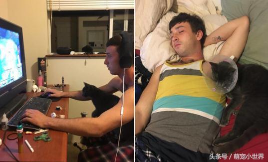 结扎后好忧伤，忧郁帅爸跟着戴头套，陪它度过猫生低潮