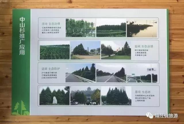 微靖江是哪个城市,江苏泰州靖江牧城公园四周风景好