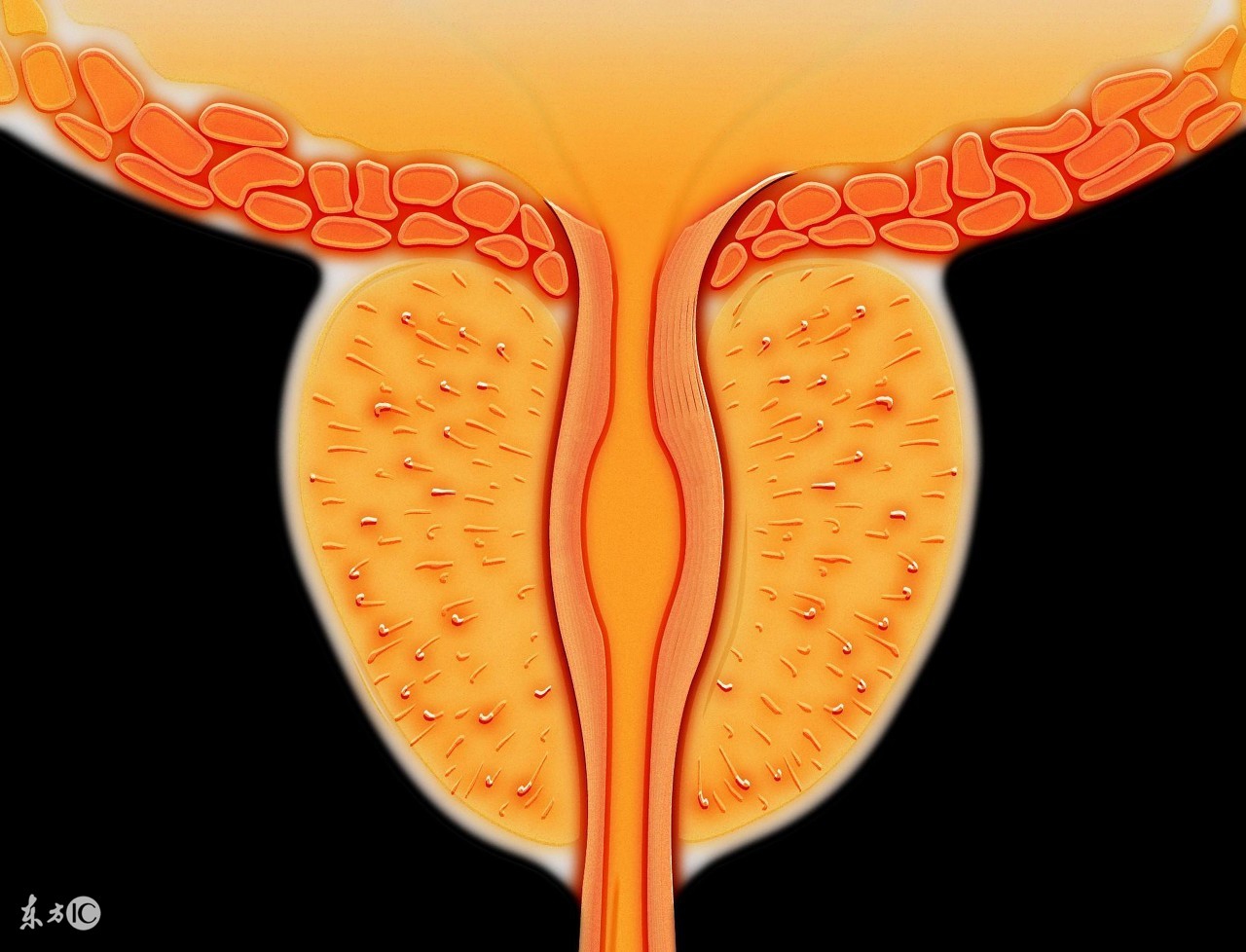 膀胱腹膜外破裂多久自愈,腹膜内型膀胱破裂名词解释