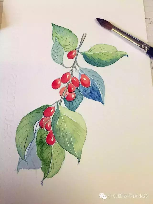 自从学会了植物色彩搭配,再也不用担心不会画植物了!