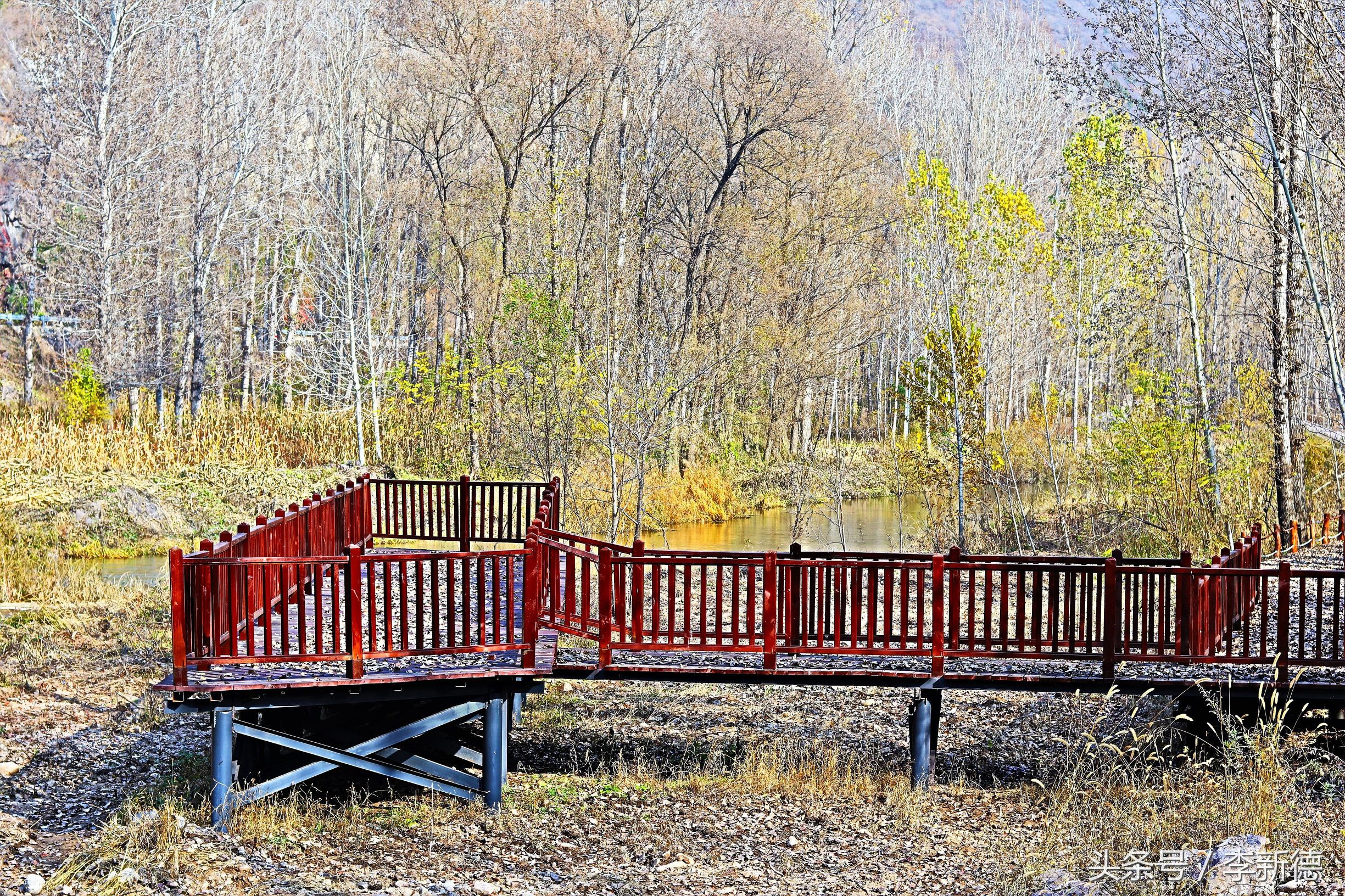 带着佳能相机去旅游图片,带着佳能r10去旅游