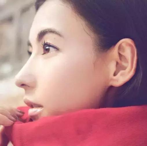 各种女明星的鼻子谁的鼻子最好,鼻子大有福气女明星