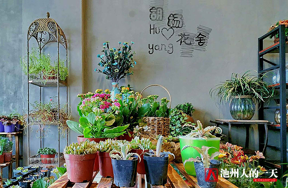 学习花艺多久可以成为花艺师,零基础入门如何学花艺做花艺师