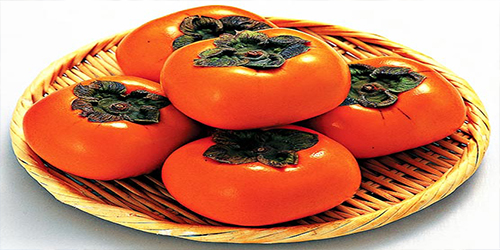 鞣酸与什么形成结石,鞣酸和胃酸反应吗