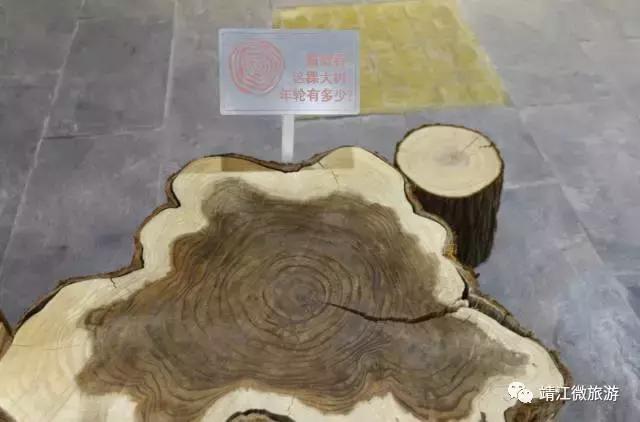 微靖江是哪个城市,江苏泰州靖江牧城公园四周风景好