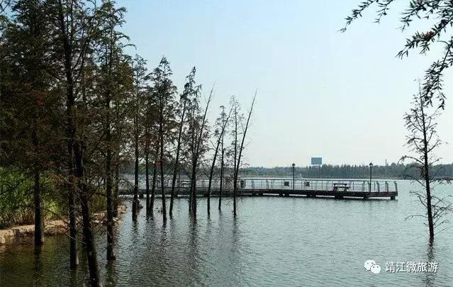 微靖江是哪个城市,江苏泰州靖江牧城公园四周风景好