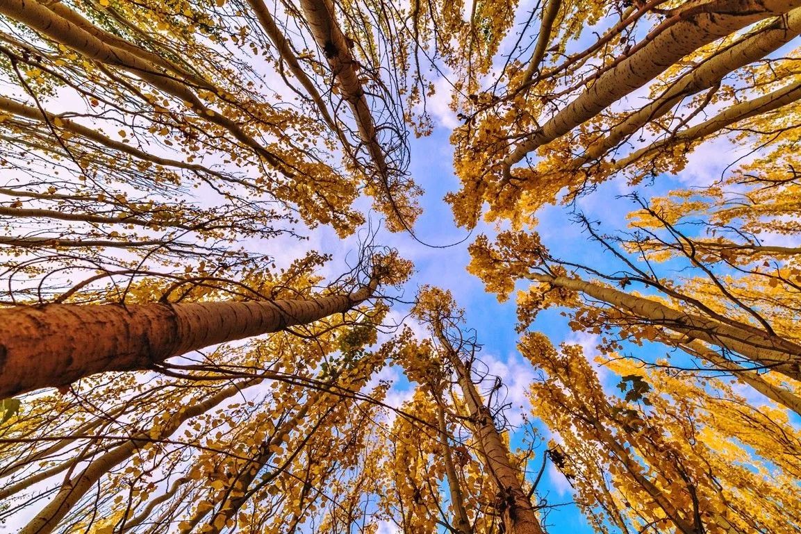 新款东风启辰t90测评,人生第一辆车东风启辰t90