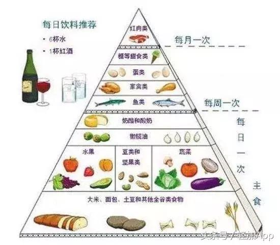 乳酸菌饮料可以减脂,开胃乳酸菌饮品