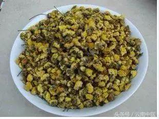 仅有简单5味药却能治上千种病,65种经典药对照表