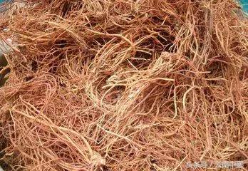 仅有简单5味药却能治上千种病,65种经典药对照表